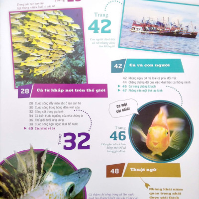 Thế Nào Và Tại Sao - Các Loài Cá - Thế Giới Diệu Kì Dưới Nước