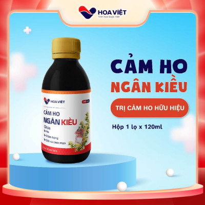Siro ho thảo dược Ngân Kiều Hoa Việt tăng cường sức đề kháng, hỗ trợ giảm ho hiệu quả Chai 120ml
