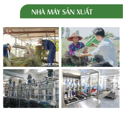 [ GIÁ DÙNG THỬ ] Xịt khử mùi Toilet Tinh dầu 24care - Xịt khử mùi thiên nhiên dung tích 50ml/ 100ml/ 250ml.