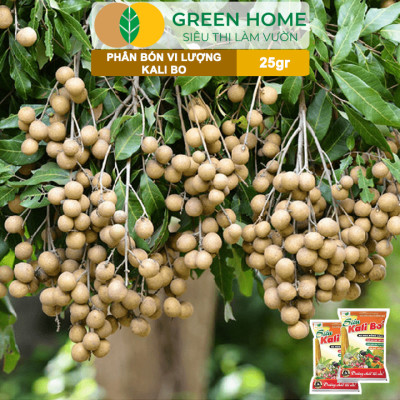 Phân Bón Kali Bo Greenhome, Gói 25g, Kích Thích Ra Hoa, Giảm Rụng Trại Non, Nuôi Quả To, Chắc Ruột, Tăng Độ Ngọt