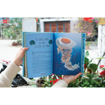 Sách - Thiên nhiên diệu kỳ - Truyện kể cho trẻ từ 6 tuổi - Combo 2 Cuốn - Đinh Tị Books