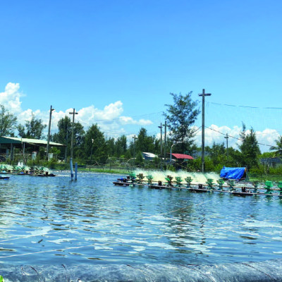 Vi sinh thế hệ mới COMBO AG New