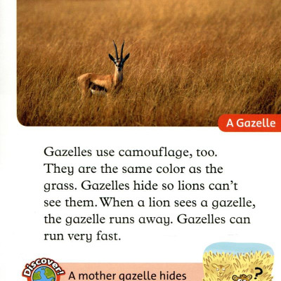 Oxford Read and Discover: Level 2: Camouflage