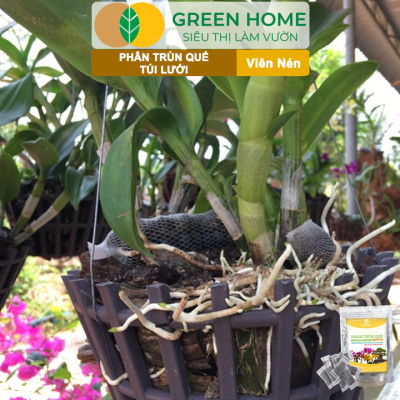 Phân Trùn Quế Viên Nén Greenhome, Lavamix, Túi lưới, Bao 36 Túi,  Dinh Dưỡng Hữu Cơ, Không Mùi, Tốt Cho Lan, Bonsai, Rau