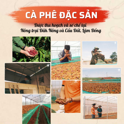 Cà phê pha phin P1 1Kg, cà phê giá sỉ dành cho chủ quán từ Message Coffee