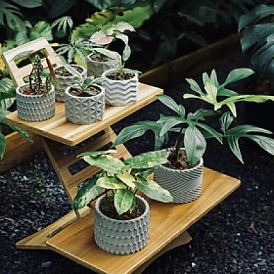 Chậu Xi măng trồng cây ORIGAMI PL10 màu Ximang nguyên bản, chính hãng, trồng hoa kiểng lá, ban công, sân vườn, chậu cây decor bàn làm việc