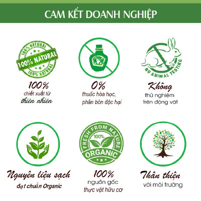 Tinh dầu Tràm Trà Úc (Tea Tree Oil) nguyên chất 100% từ thiên nhiên - KingOil