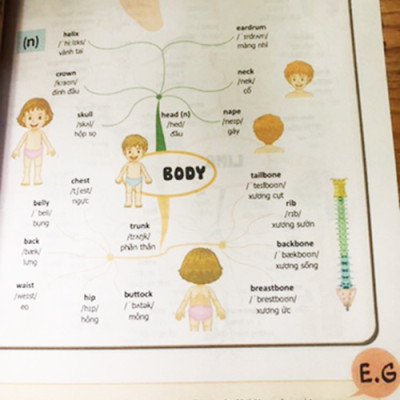 Sách  Mindmap English Grammar - Ngữ Pháp Tiếng Anh Bằng Sơ Đồ Tư Duy Cho Người Học Căn Bản - Học Kèm App