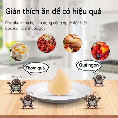 Thuốc diệt gián sinh học Housheng, diệt tận gốc tất cả các loại gián, hiệu quả, an toàn.